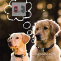 Smart Pet GPS Tracker